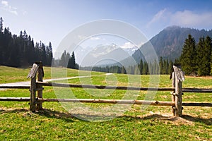 Bielovodska valley in Tatras