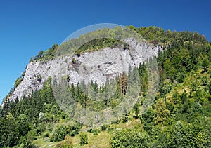 Bielska skala, Národní přírodní rezervace