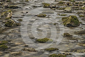 Biely creek with stones and clean water