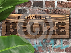 Bienvenido Belize Welcome Sign Wood Plaque on Brick Wall with Tropical Plant Leaves photo