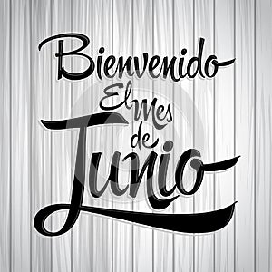 Bienvenido el mes de Junio - Welcome June spanish text photo