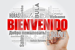 Bienvenido , Welcome in Spanish, word cloud photo