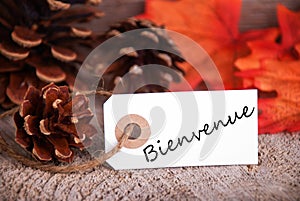 Bienvenue on a Fall Label