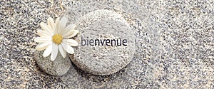 Bienvenue meaning welcome in french on a stone background with a daisy