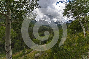 Bierstadt Lake Hiking Trail