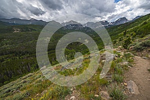 Bierstadt Lake Hiking Trail