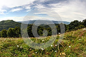 Bieszczady Mountains