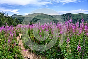 Bieszczady Mountains photo