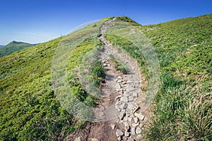 Bieszczady Mountains in Poland, path of Wetlina Trail