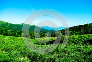 Bieszczady Mountains