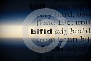 Bifid