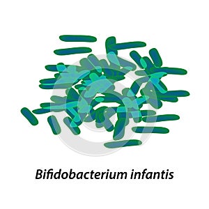 Bifidobacteria. Bifidobacterium infantis. Probiotic, lactobacillus, bifidobacterium, probiotic, prebiotic. Infographics photo