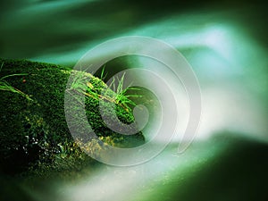 Big abandoned boulder covered by fresh green moss in foamy water of mountain river. Light blurred cold water with reflections