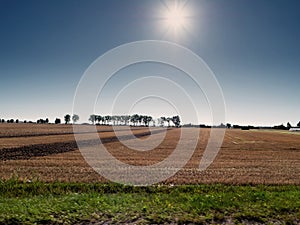 Big agriculture land by a road on a warm sunny day with clean blue sky. Food supply chain. Grain product production and