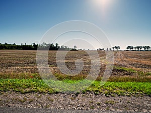 Big agriculture land by a road on a warm sunny day with clean blue sky. Food supply chain. Grain product production and