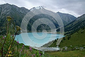 Big Almaty lake in mountains with road and ridges and peaks in the background and flowers in the foreground