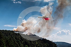 Big amphibious fire aircraft drops water on forest fire