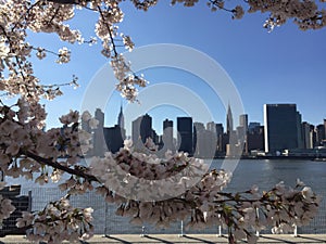 Big Apple cityscapeview