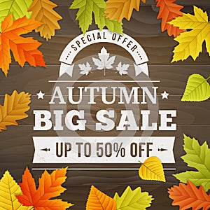 BIG autumn sale business background