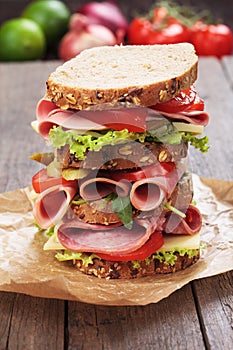 Big baloney sandwich photo