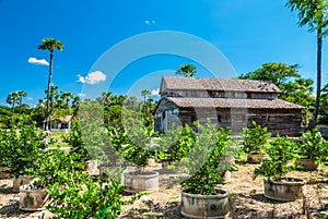 Big Barn in Countryside of Thailand