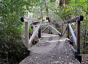 Big Basin Redwoods Park Bridge photo