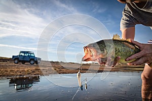 Big Bass Large mouth - Fishing on lake