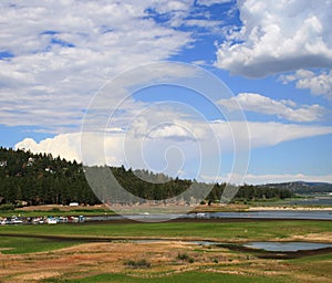 Big Bear wetlands