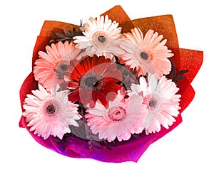 Big beautiful bouquet of gerberas on a white background, isolated flowers without the background. lots of great colors.
