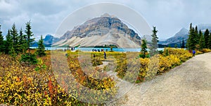 A big beautiful bow lake panoramic landscape surrounded by majestic mountains and glaciers captured in autumn