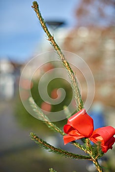 big beautiful Christmas Tree with decorations. New Year and Christmas holiday background. Festive winter city landscape.