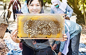 Big bee hive presented by smiling Asian women with farmers working in the farm garden