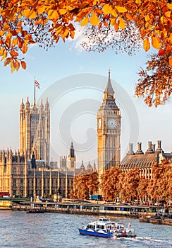 Big Ben with autumn leaves in London, England, UK