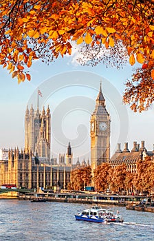 Big Ben with autumn leaves in London, England, UK