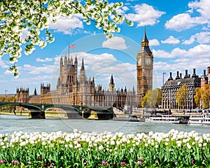 Big Ben tower and Houses of Parliament in spring, London, UK