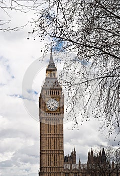 Big Ben with tree in London