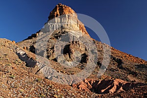 Big Bend Landscape