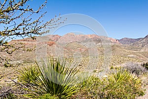 Big Bend View of mountains