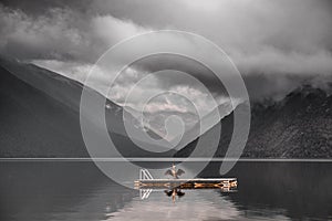 big bird flapping its wings standing on a wooden platform with metal ladder and thick ropes on the calm and quiet lake