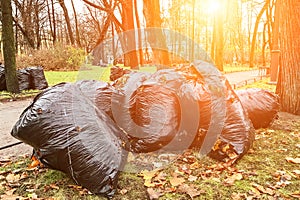 Big black garbage bags on the green grass