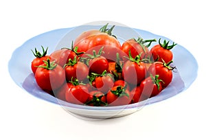 Big blue plate with red tomatoes isolated