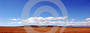 Big Blue Sky Golden Prairie photo