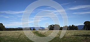 Big blue sky with old Australian farm house