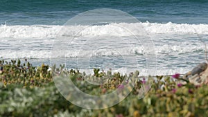 Big blue tide waves on beach, California shoreline USA. Pacific ocean coast, greenery on sea shore.