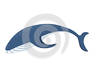 Big blue whale cartoon animal design biggest mammal on the earth flat vector illustration isolated on white background