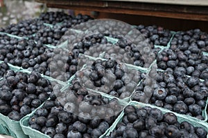 Blueberries for sale