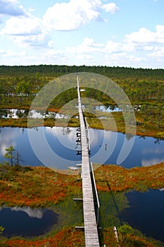 Big bog in Estonia