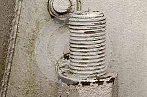 big bolt and nut closeup. Metal construction and threaded connection. Gray background. The basis of the iron electricity pylon