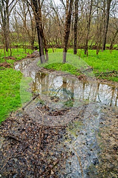 Big Bone Lick State Historic Site