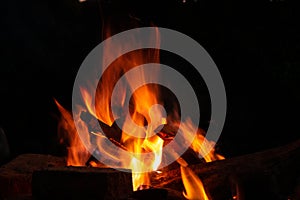 Big bonfire to warm people at night photo